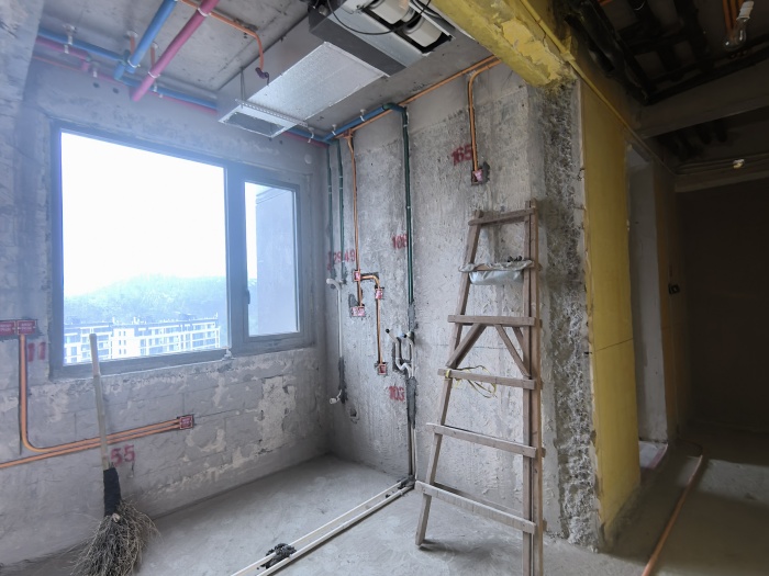 IMG_20250330_130348.jpg