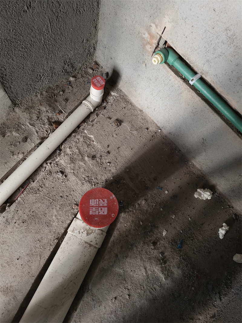 IMG_20250402_091256.jpg