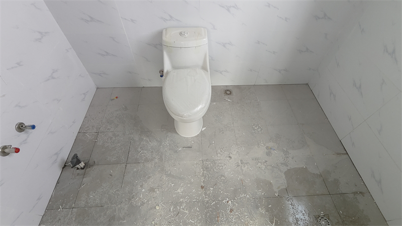 IMG20250403121936.jpg
