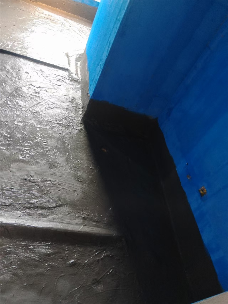 mmexport1744291790966.jpg