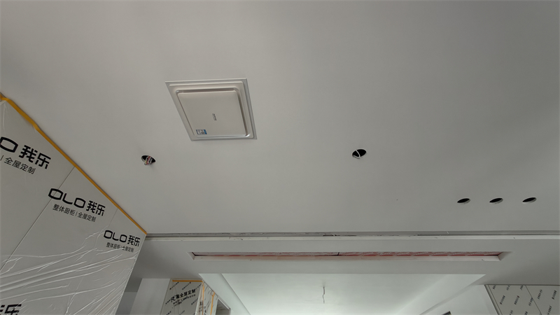 IMG20250410135625.jpg