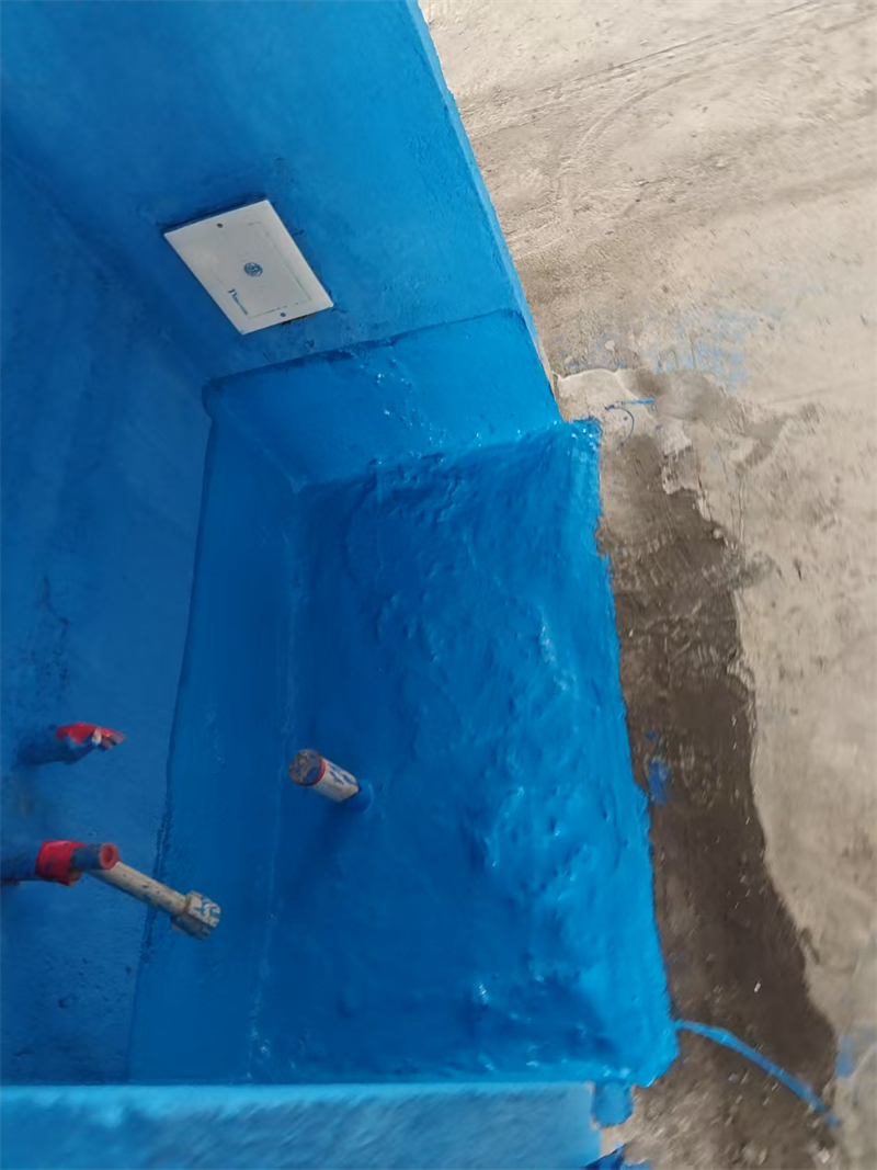 mmexport1744556523710.jpg