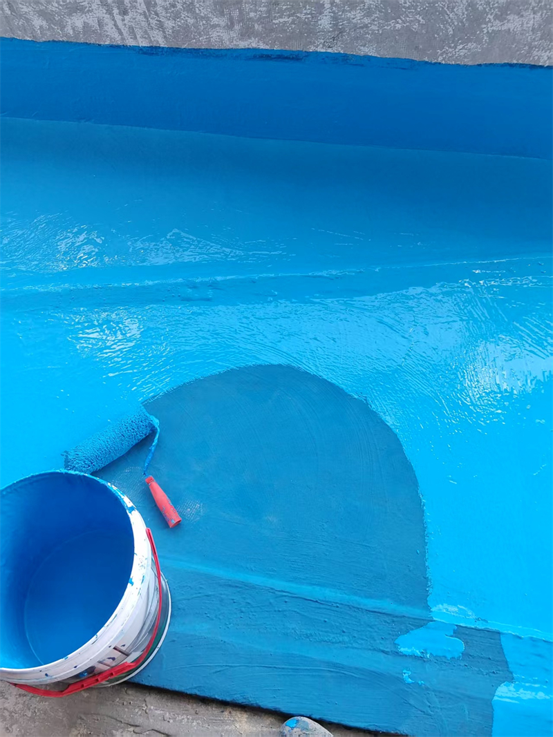 mmexport1744595358980.jpg