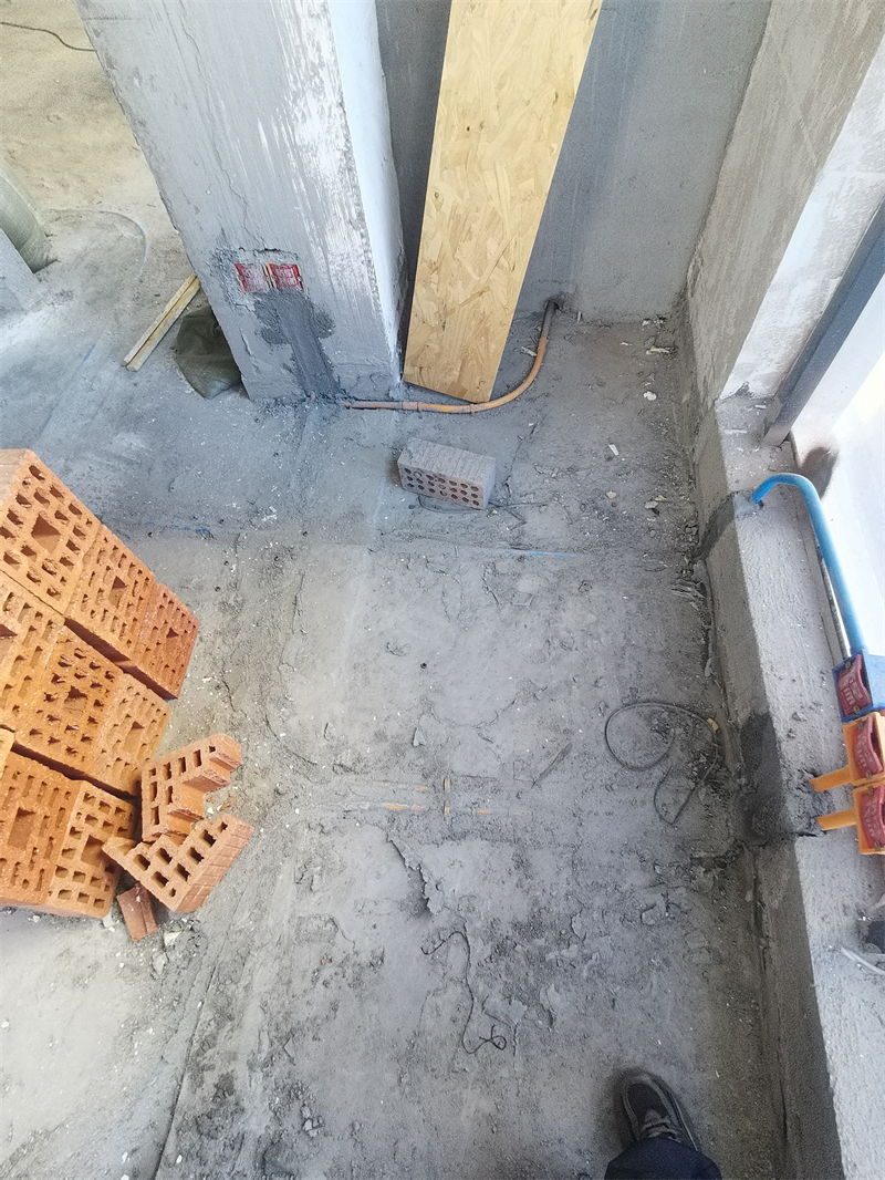 IMG_20250415_084605.jpg
