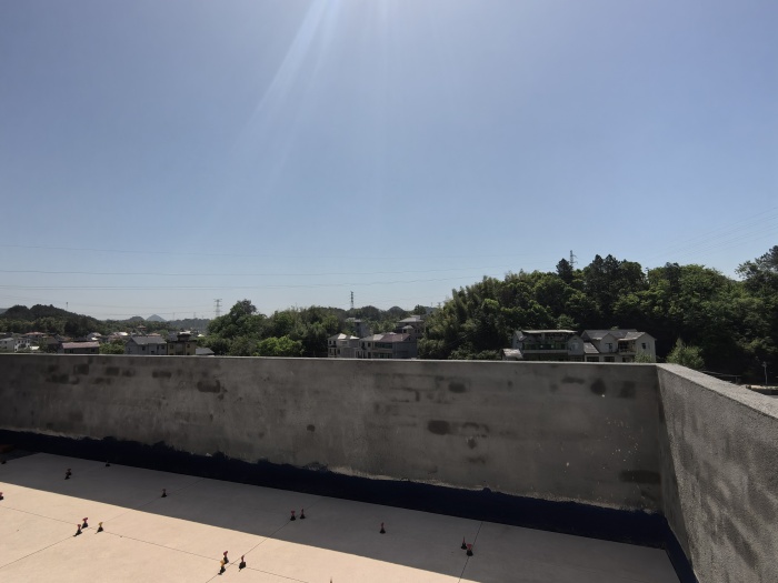 IMG_20250415_100108.jpg