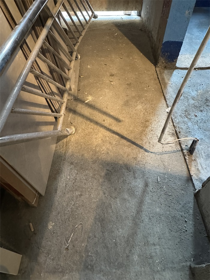 IMG_5633.JPEG