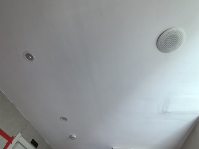 IMG_20250418_090228.jpg