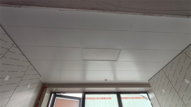 IMG20250420163425.jpg