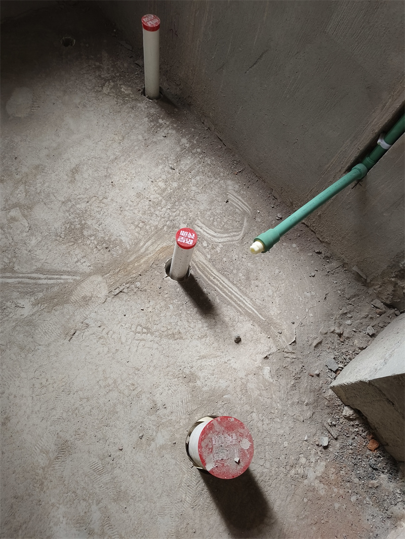 IMG_20250424_091711.jpg