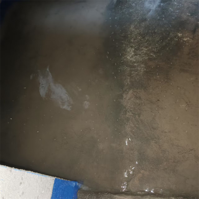 ΢��ͼƬ_20250426200431.jpg