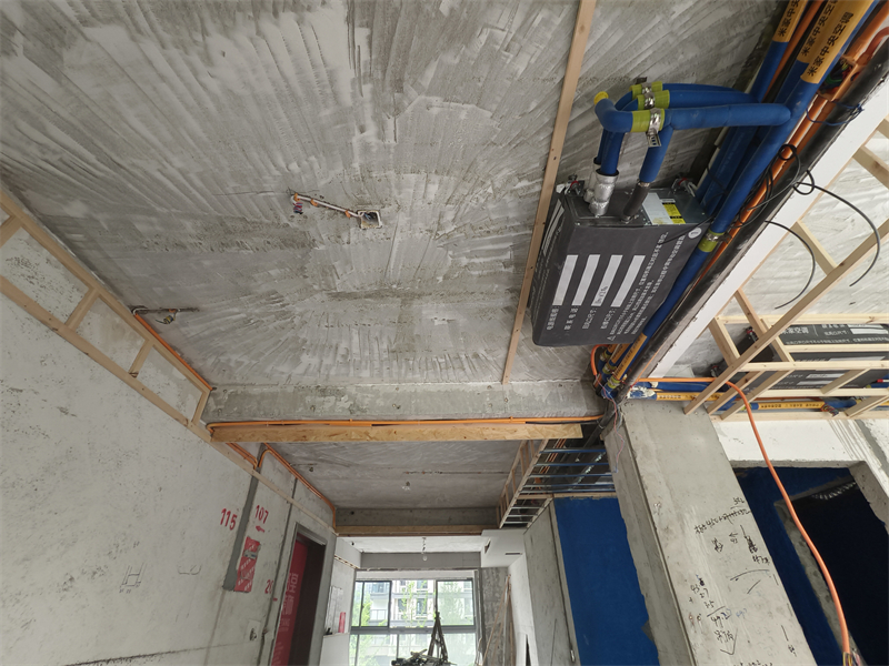 IMG_20250426_115341.jpg
