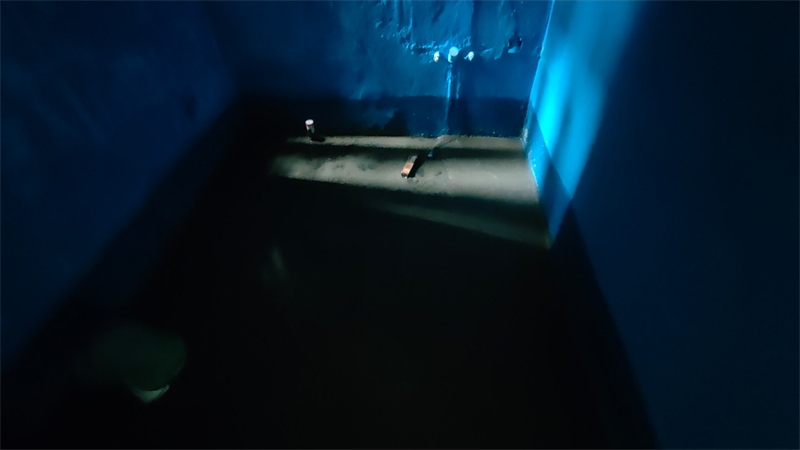 IMG20250426112609.jpg