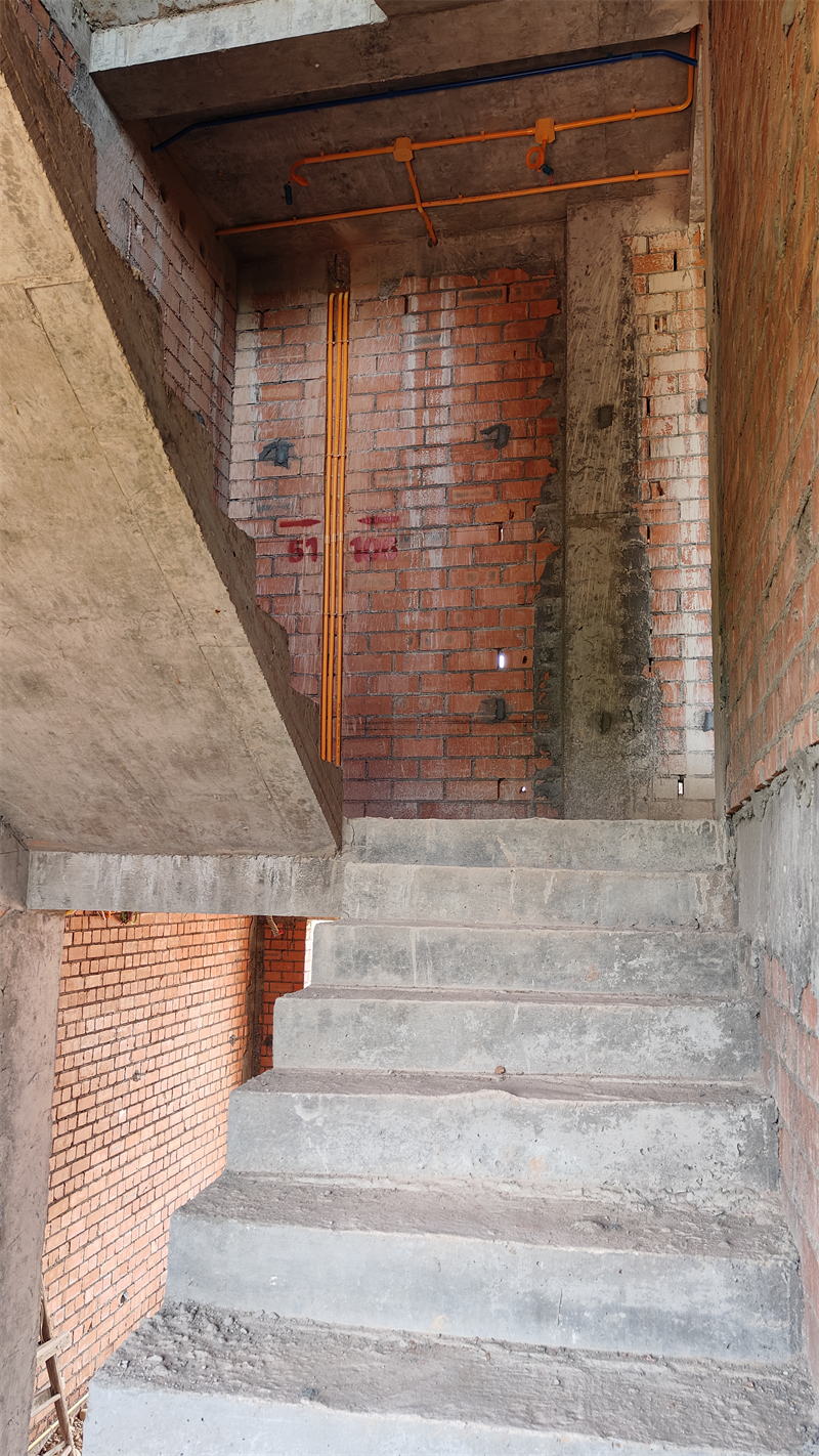 IMG20250429123115.jpg
