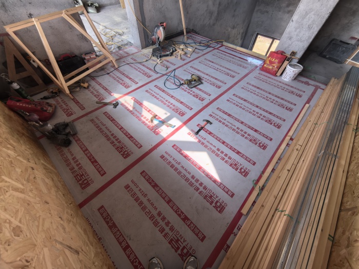 IMG_20250512_090347.jpg
