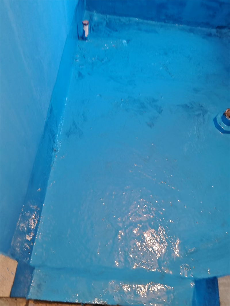 mmexport1747229680101.jpg