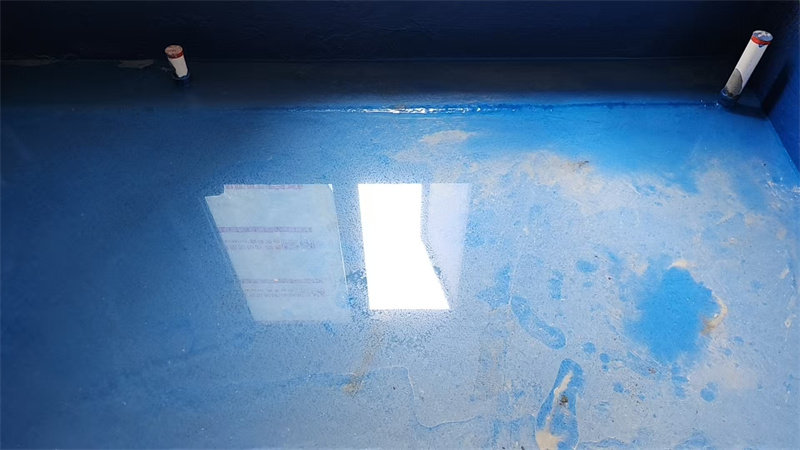 mmexport1747284113529.jpg
