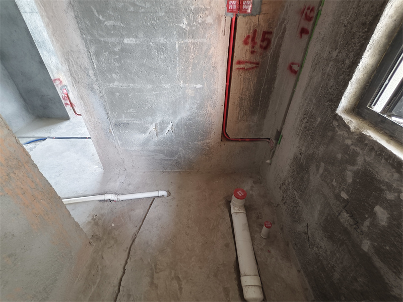 IMG_20250514_104832.jpg
