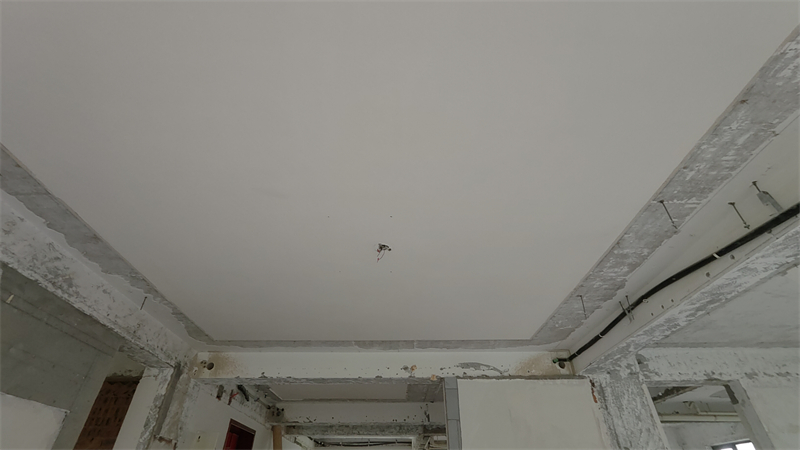IMG20250424091704.jpg