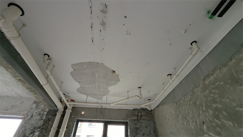 IMG20250424091900.jpg