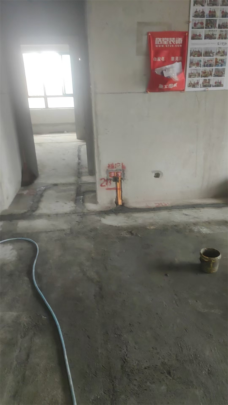 mmexport1747487715459.jpg