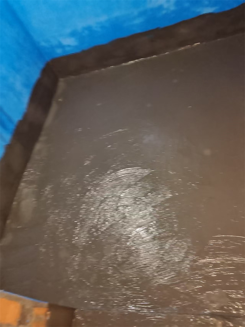 mmexport1747920566362.jpg