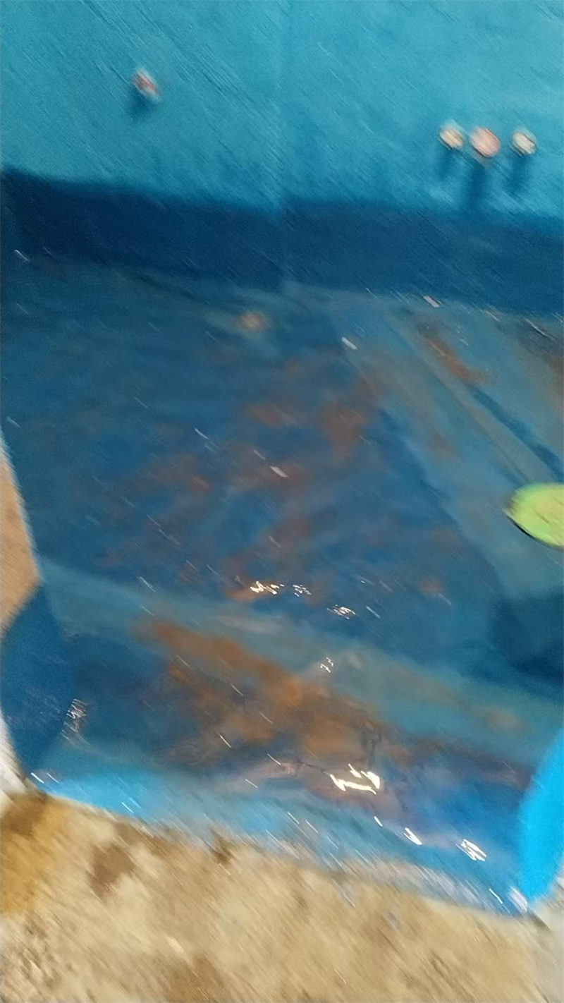 mmexport1747978948659.jpg