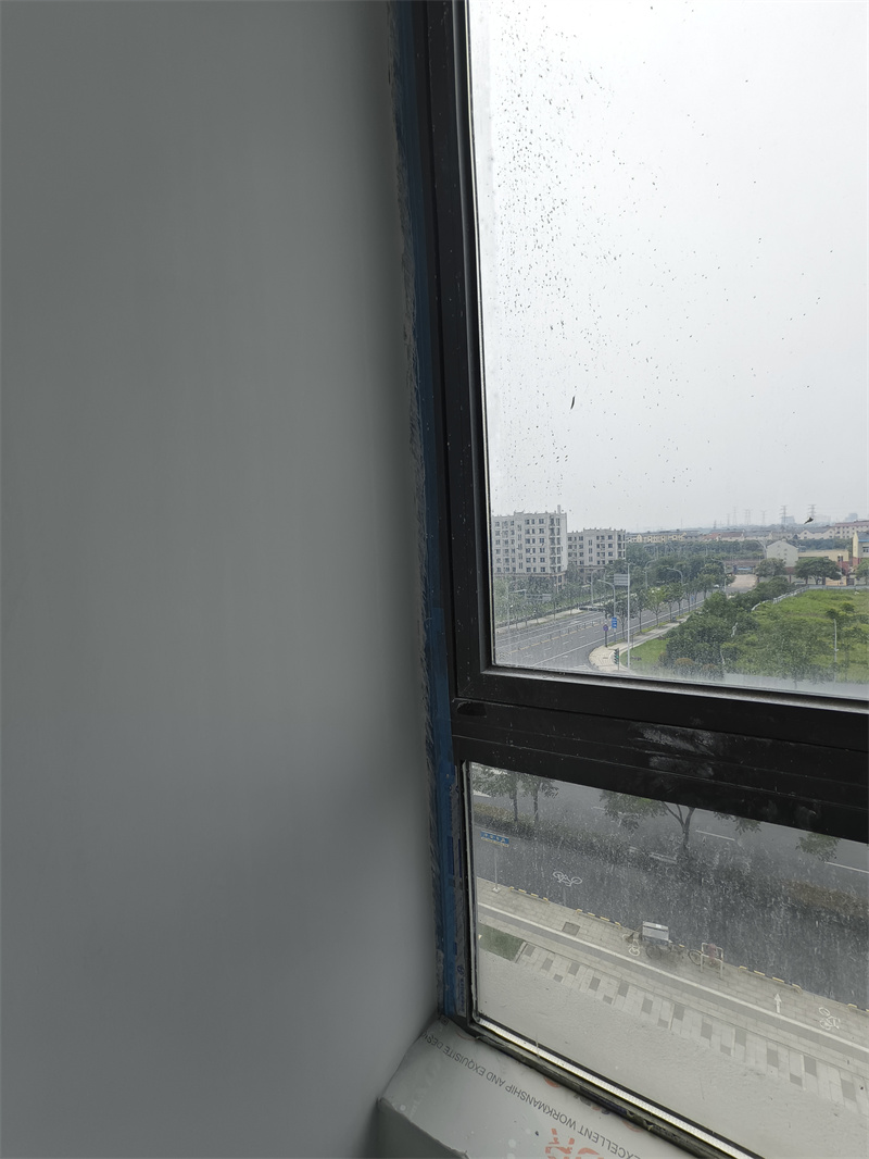 IMG_20250526_100707.jpg