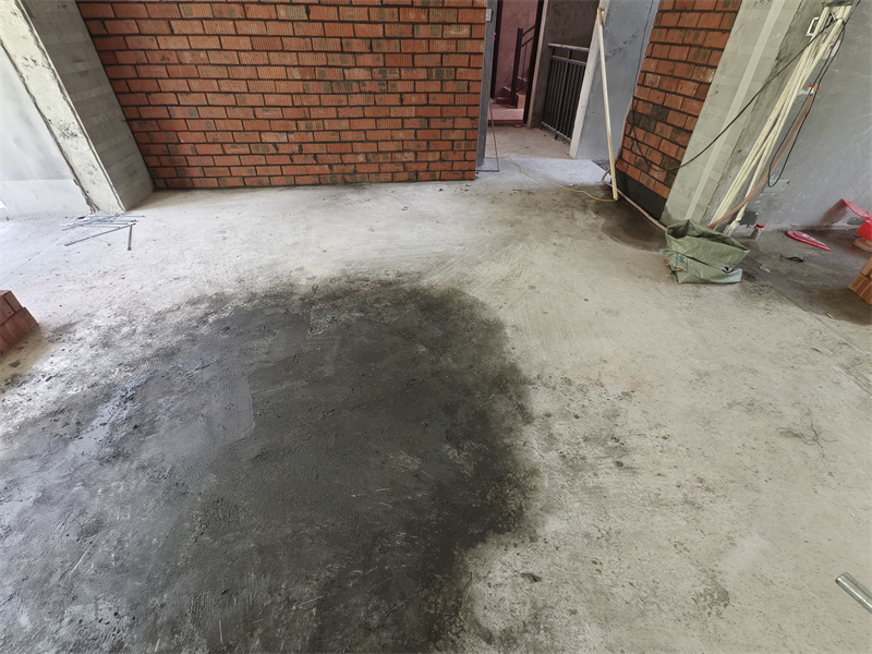 IMG_20250530_131811.jpg
