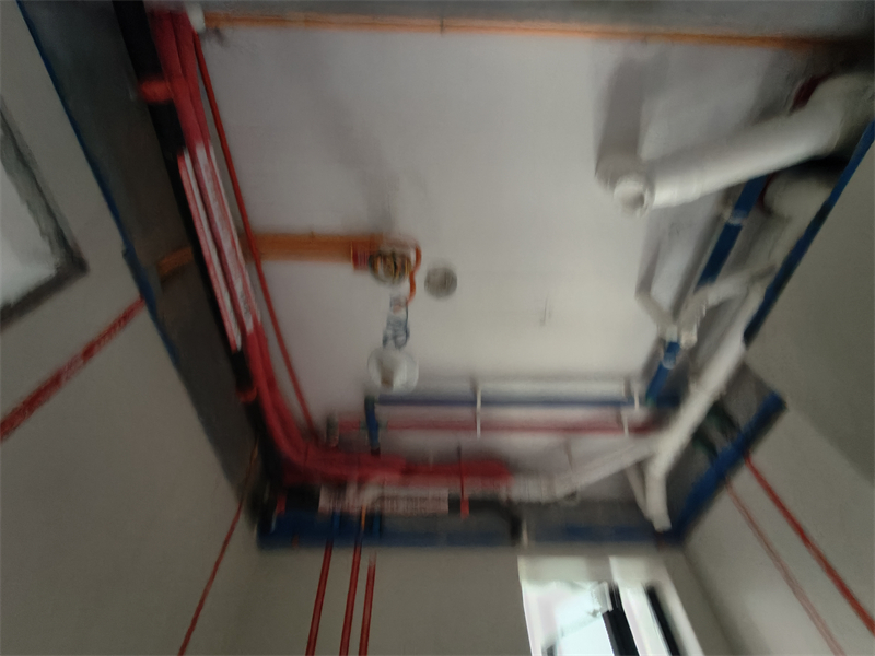 IMG20250525090818.jpg