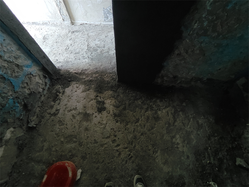 IMG20250522144152.jpg