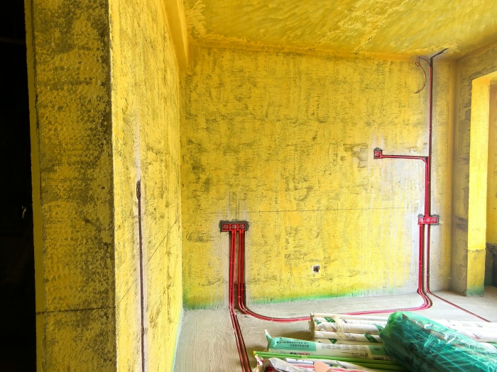 IMG_20250603_091750.jpg