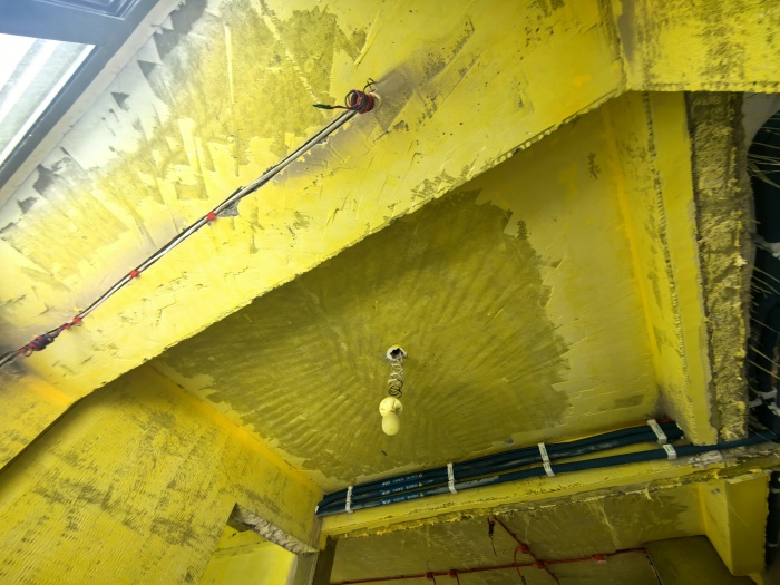 IMG_20250605_134254.jpg