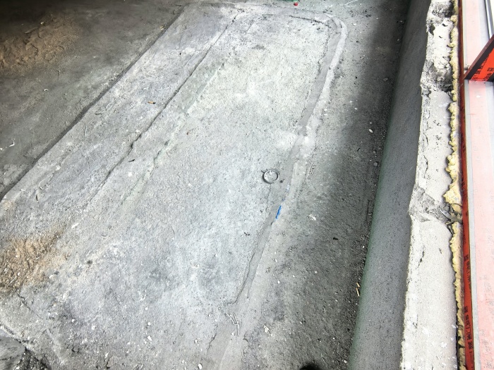 IMG_20250608_095737.jpg