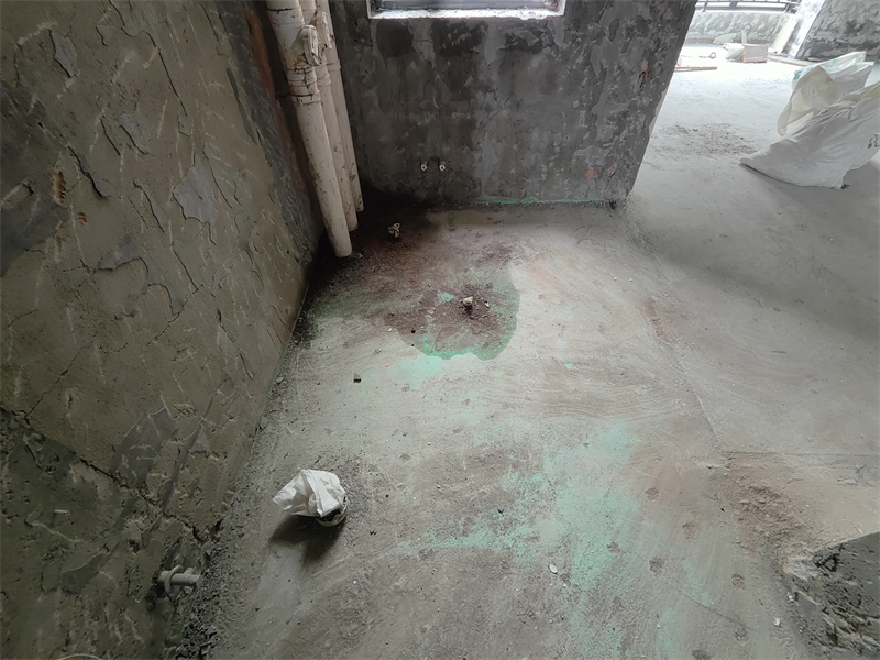 IMG20250605123216.jpg
