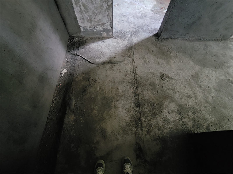 IMG20250615094639.jpg