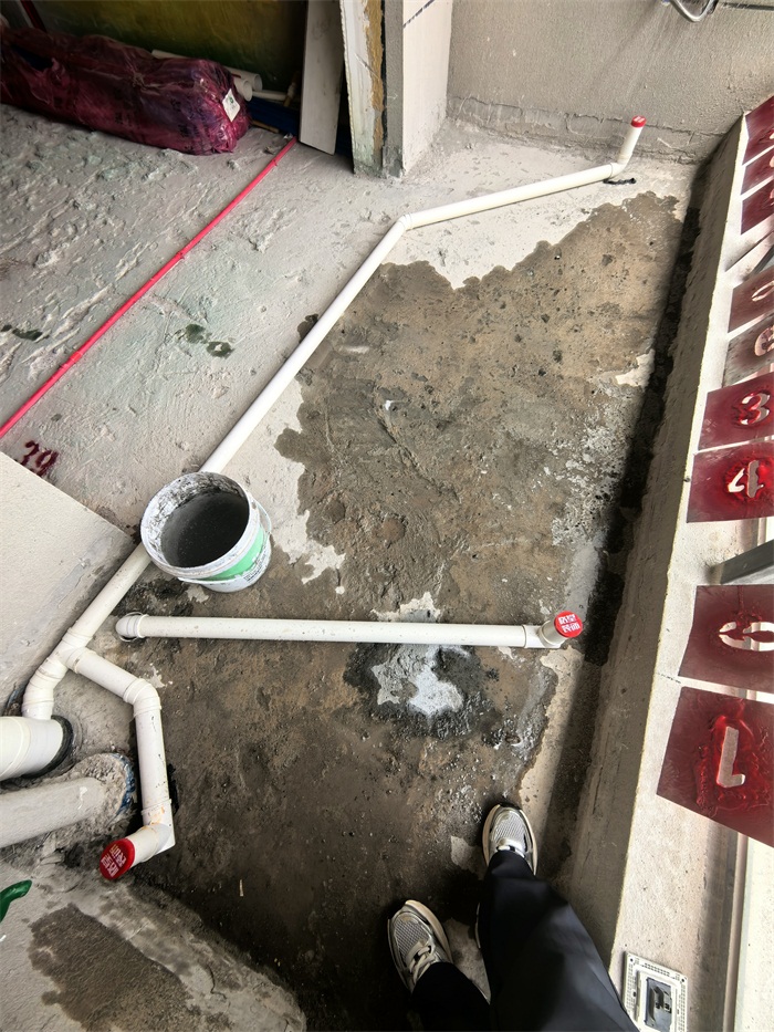 IMG_20250620_140916.jpg