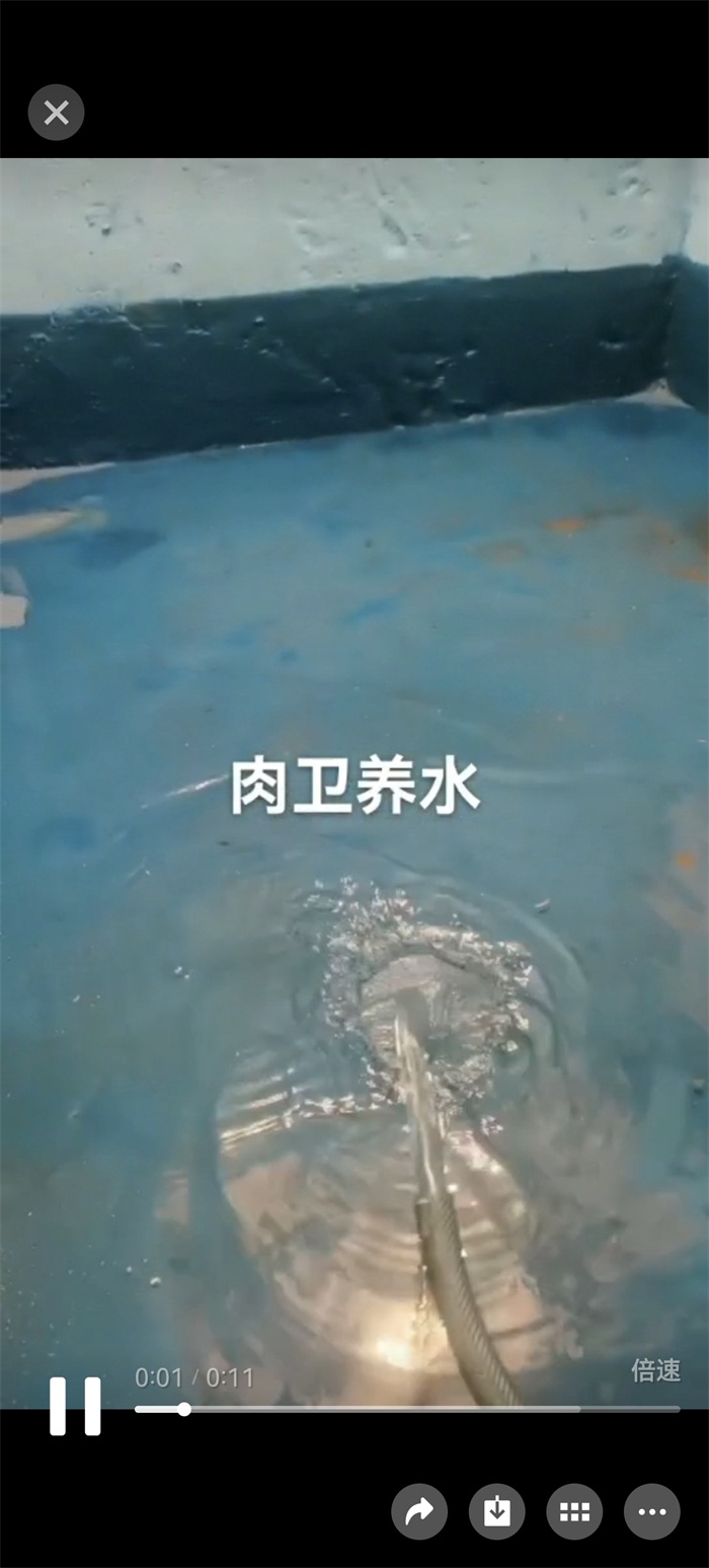 955fe936522544128e5aa3b7068ee1a.jpg