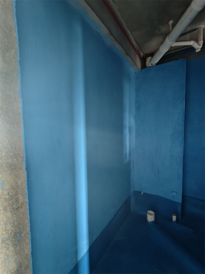 IMG20250619084737.jpg