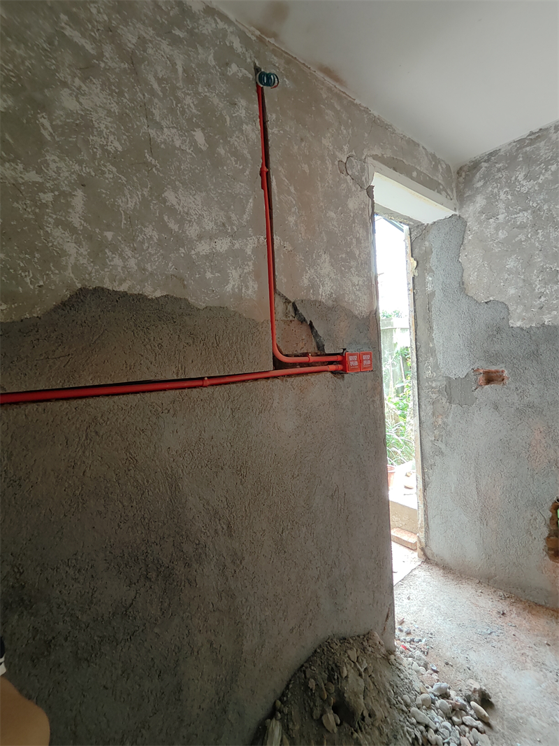 IMG20250620125138.jpg