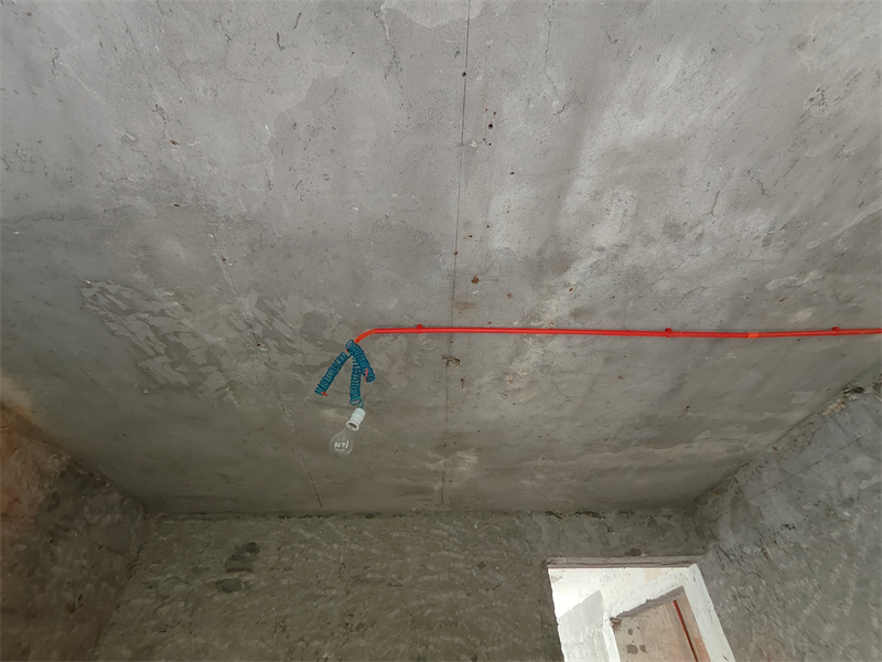 IMG20250620125540.jpg