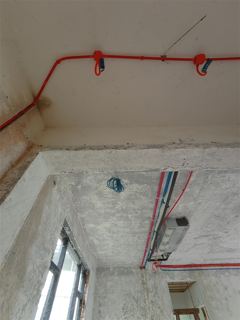 IMG20250620130303.jpg