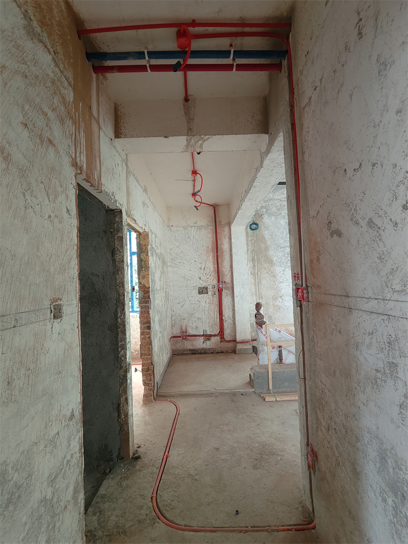 IMG20250620130641.jpg