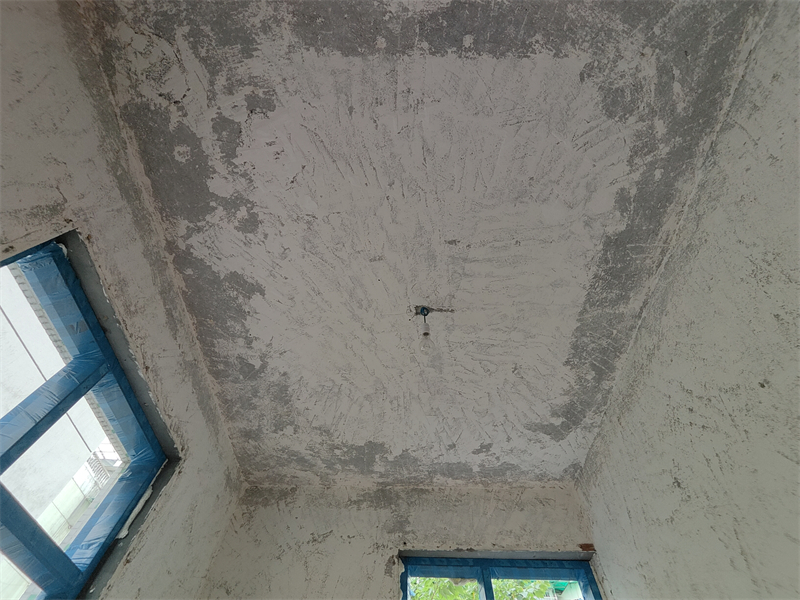 IMG20250620130725.jpg