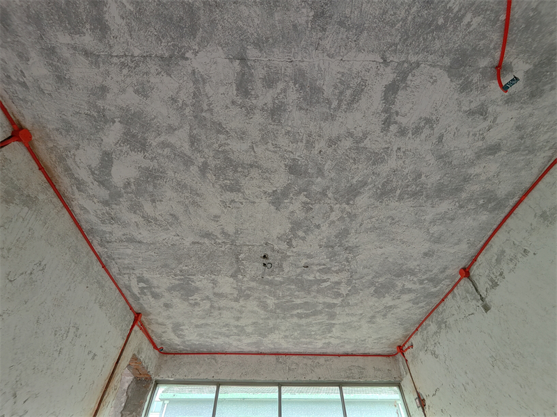 IMG20250620133704.jpg