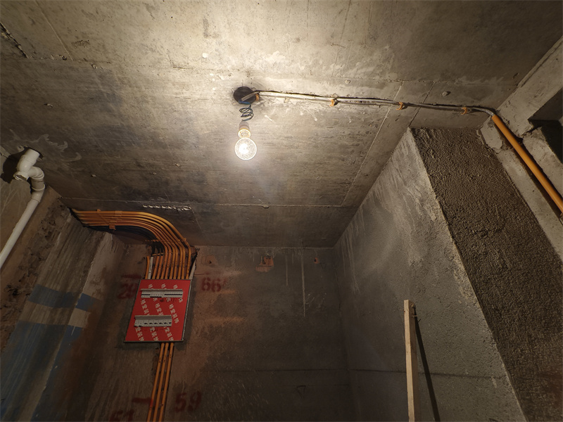 IMG_20250621_090835.jpg
