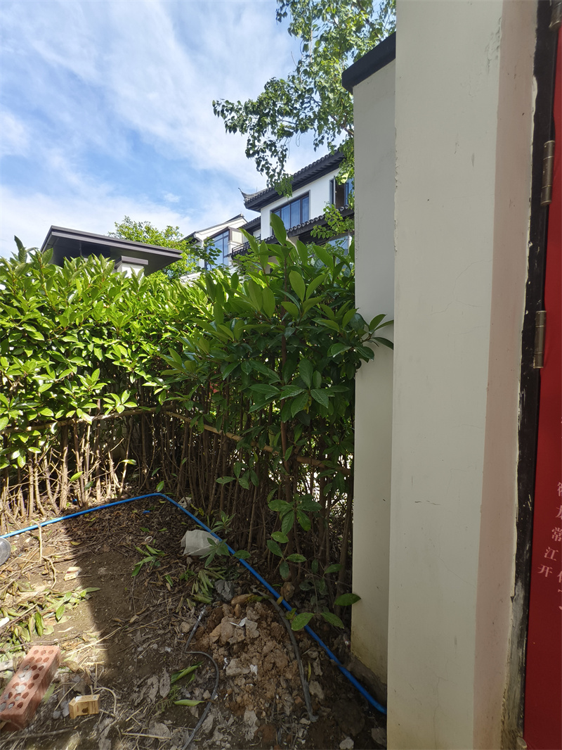 IMG_20250621_085325.jpg