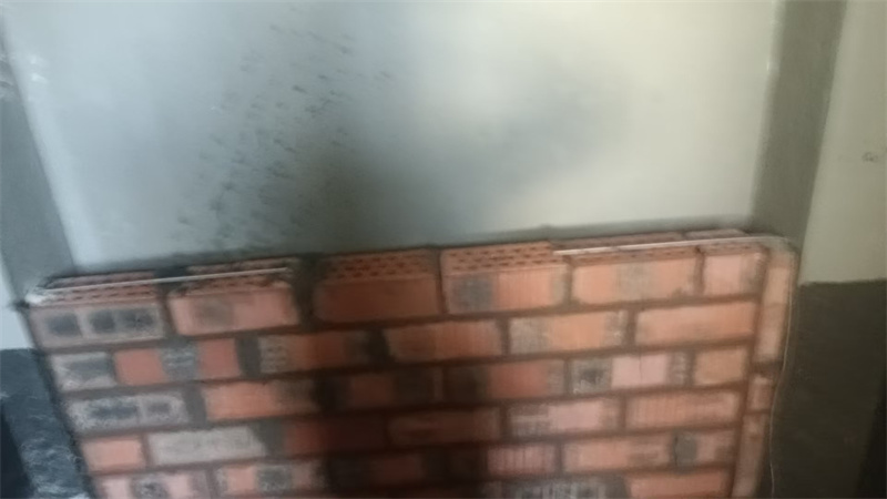 mmexport1750948708991.jpg