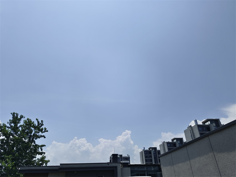 IMG_20250626_113044.jpg