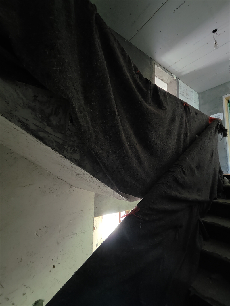 IMG20250625125317.jpg
