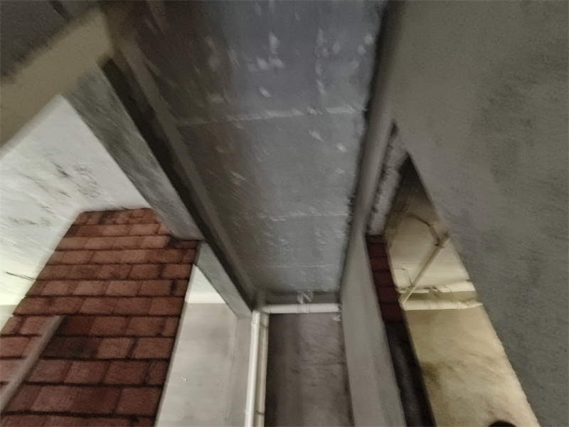 IMG_20250627_152723.jpg